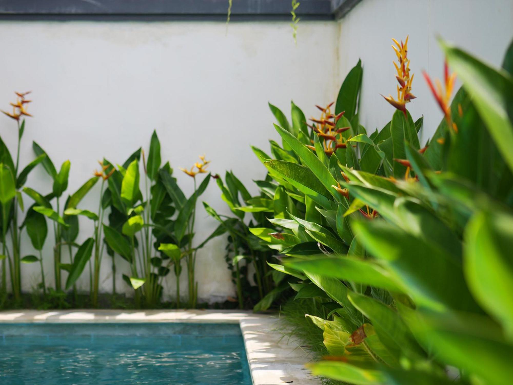 Ken Ken Guest House Seminyak Exterior foto
